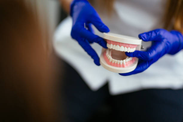 Best Dental Exams and Cleanings  in Edgewater, MD